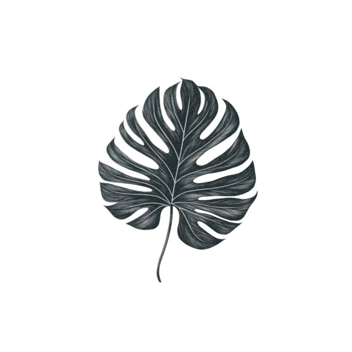 Monstera Deliciosa Leaf – TattooIcon