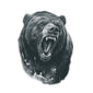 Bear Tattoo