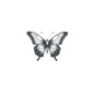 Butterfly BW Tattoo