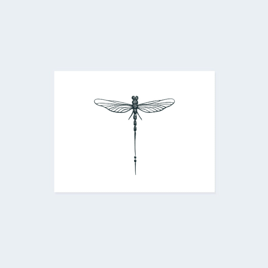 Minimalist Dragonfly (Set of 2)