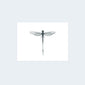 Minimalist Dragonfly (Set of 2)