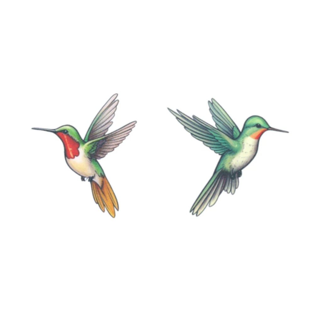 Hummingbird Lovers (Set of 2)