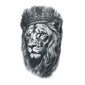 Lion King of the Jungle
