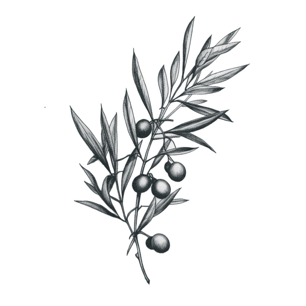 Olive Branch Tattoo – TattooIcon
