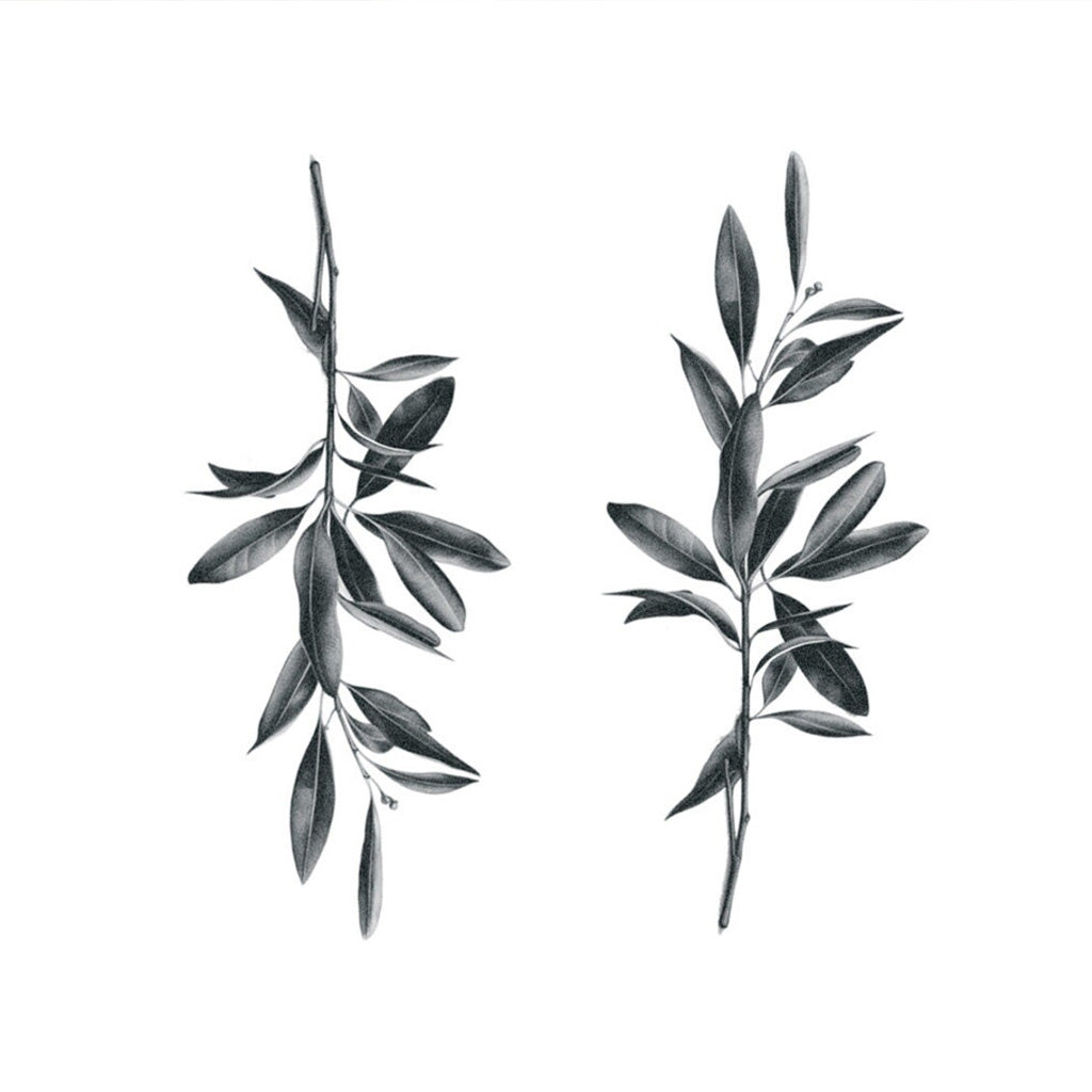 Olive Branches (Set of 2)