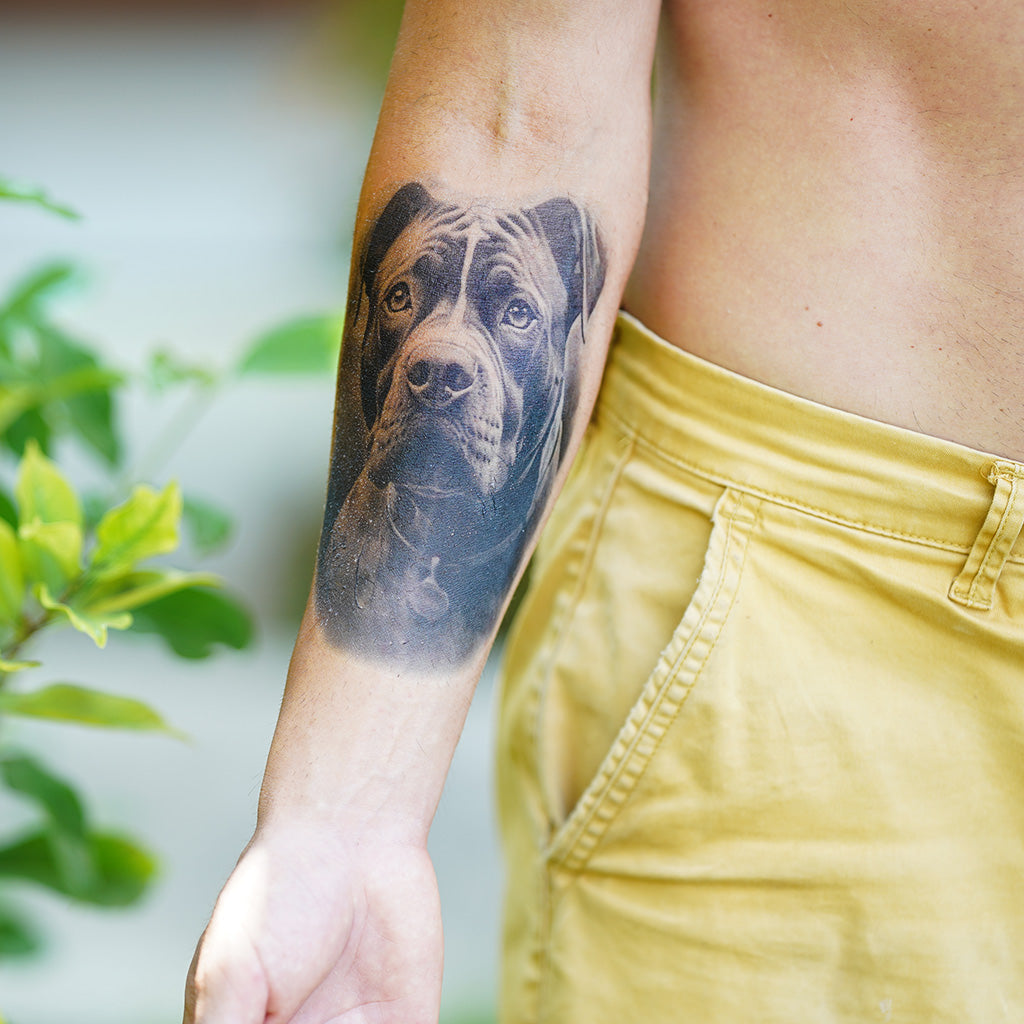 Stafford Tattoo