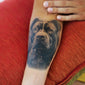 Stafford Tattoo