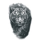 Large Majestic Tiger