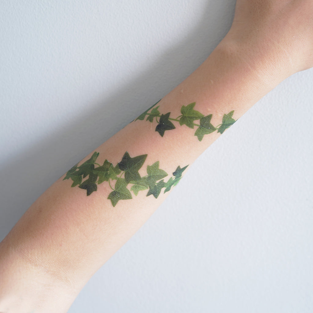 English Ivy (Set of 2)