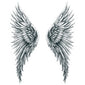 Large Angel Wings