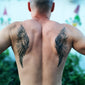 Large Angel Wings