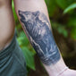 Lone Wolf Howling