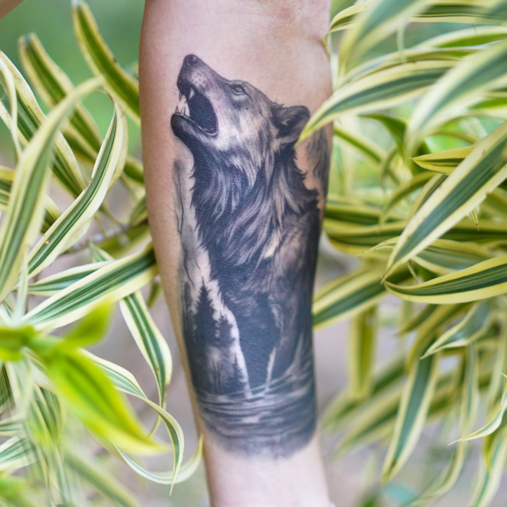 Lone Wolf Howling