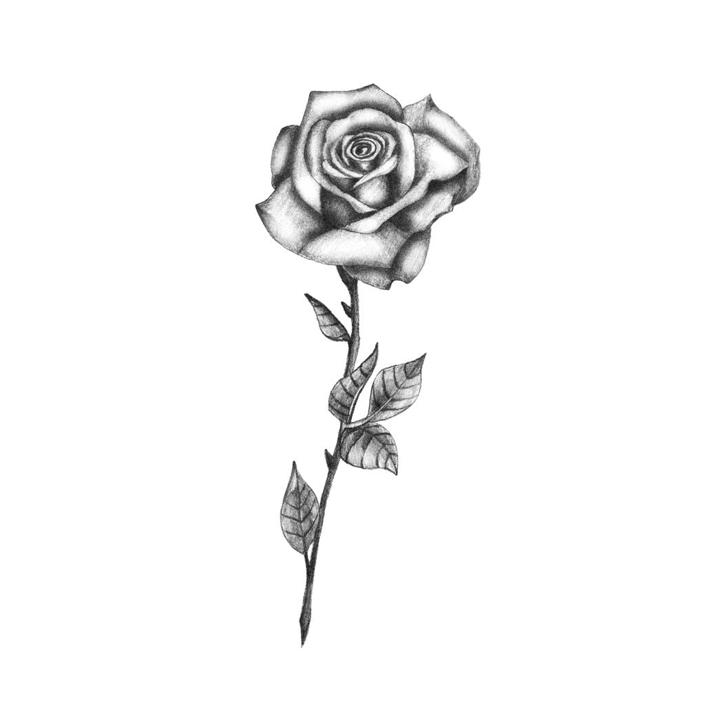 beauty and the beast black rose tattoo