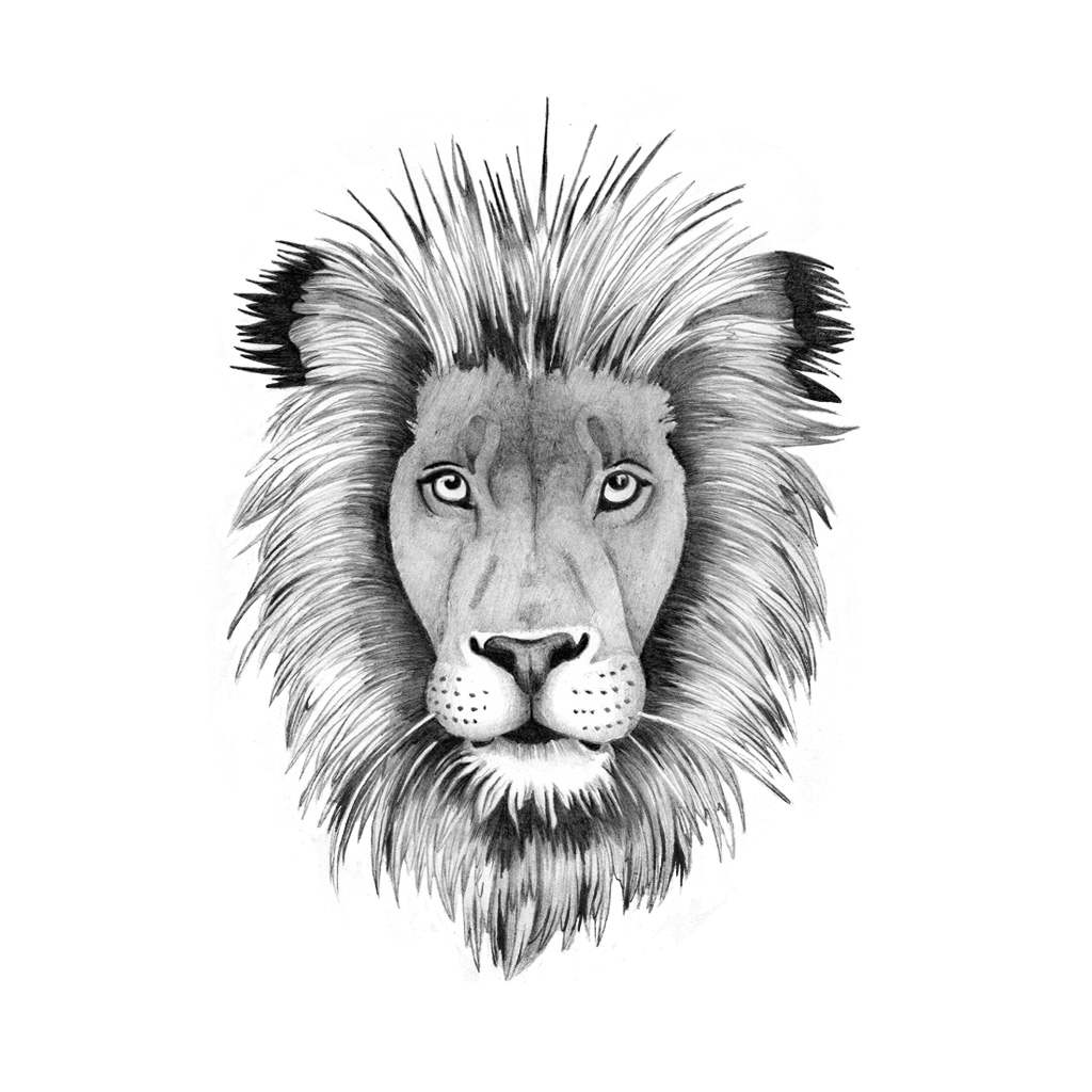 lion skull tattoo