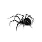 blackwork spider