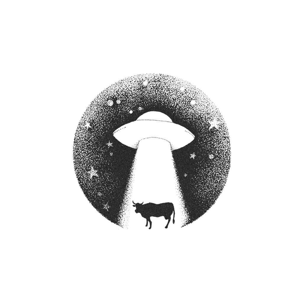 alien abduction