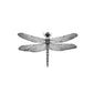 Dragonfly Tattoo