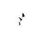 Tiny Flying Birds Tattoo