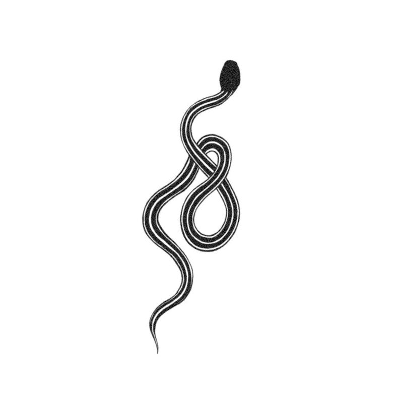 Water Snake Tattoo