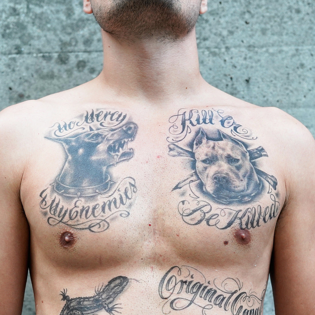 Pitbull 'Kill or be Killed" Tattoo
