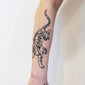 tiger vintage tattoo