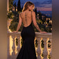 Feyre Arm & Back Tattoo Set