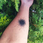 Black Hole Sun Tattoo