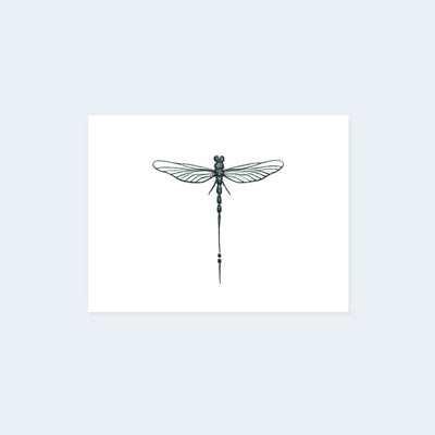 Minimalist Dragonfly (Set of 2)