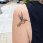 Hummingbird Lovers (Set of 2)