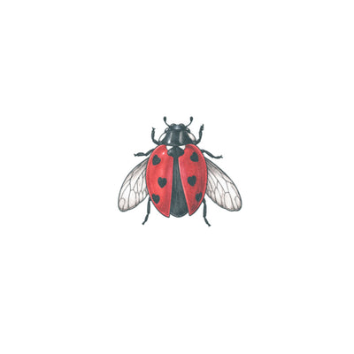 Ladybug Tattoo (Set of 2)