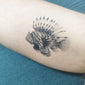 Lionfish Tattoo