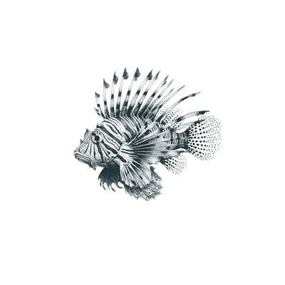 Lionfish Tattoo