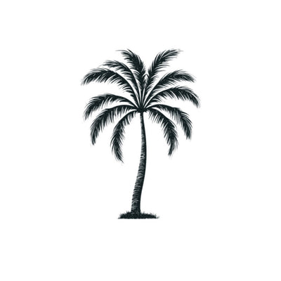 Palm Tree Tattoo