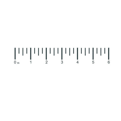 6 Inch Ruler Temporary Tattoo
