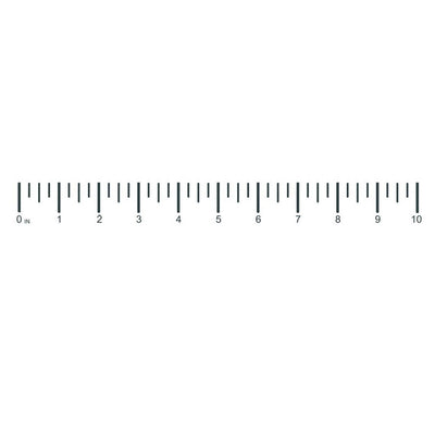 10 Inch Ruler Temporary Tattoo