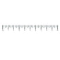 10 Inch Ruler Temporary Tattoo