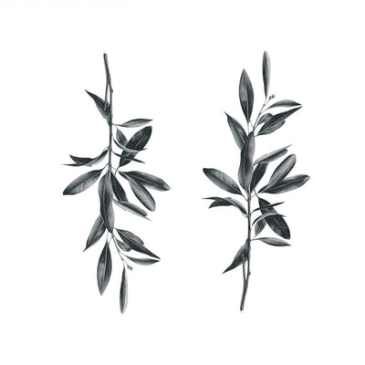 Olive Branches (Set of 2)