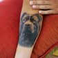Stafford Portrait Tattoo