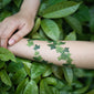 English Ivy (Set of 2)
