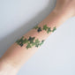 English Ivy (Set of 2)