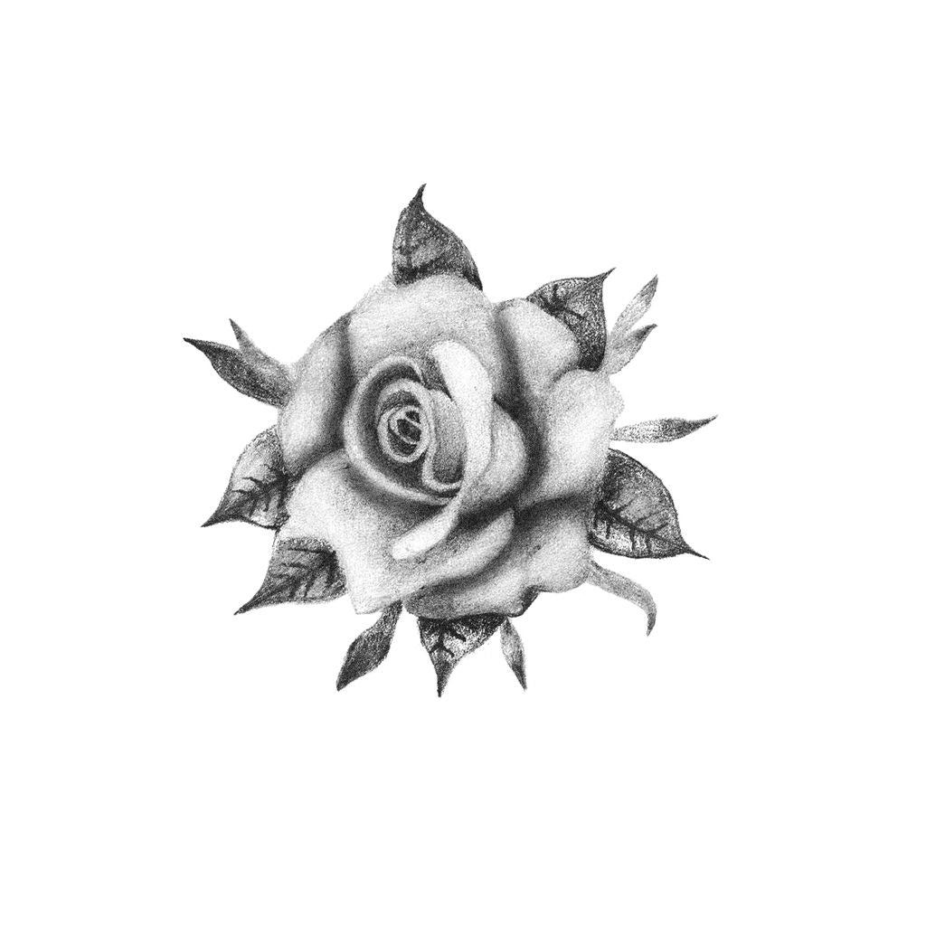 beautiful rose tattoo design