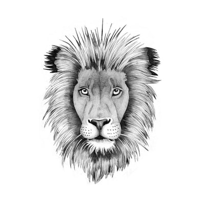 lion temporary tattoo design tattooicon