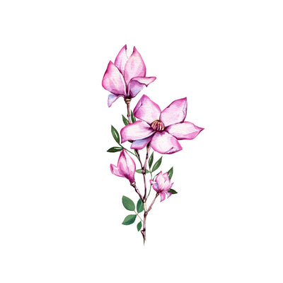 watercolor magnolia