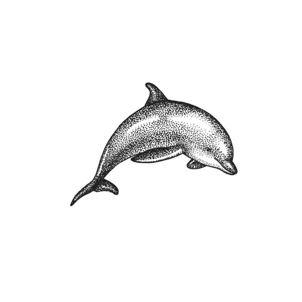 Dolphin temporary tattoo/ faux temp tattoos, with... - Depop