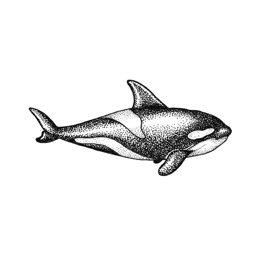 Orca Whale Tattoo