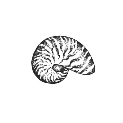 Nautilus Shell Tattoo