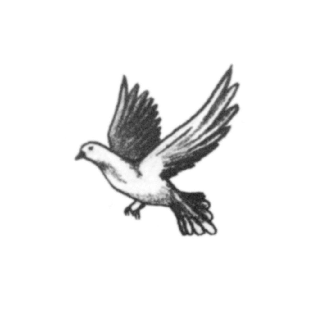 Free Pigeon Tattoo