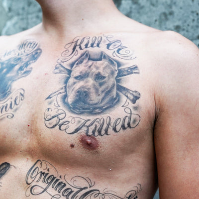 Pitbull 'Kill or be Killed" Tattoo