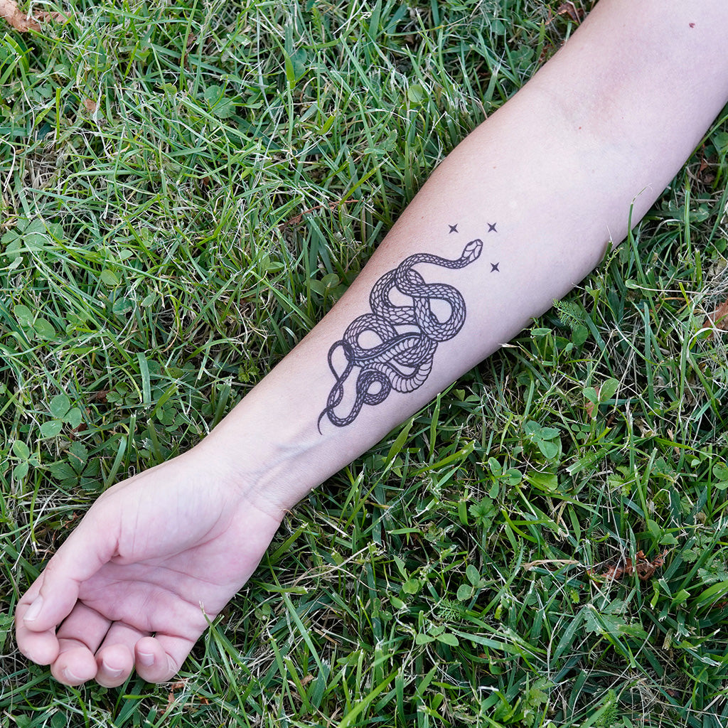 Snake In the Grass Tattoo